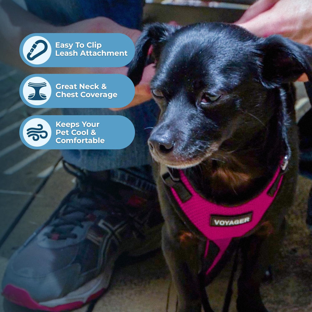 Voyager Step-in Lock Dog Harness - Fuchsia/Black Trim, X-Small