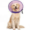 Allroaring Adjustable Dog Cone for Spay, Comfy Recovery Collar Purple L
