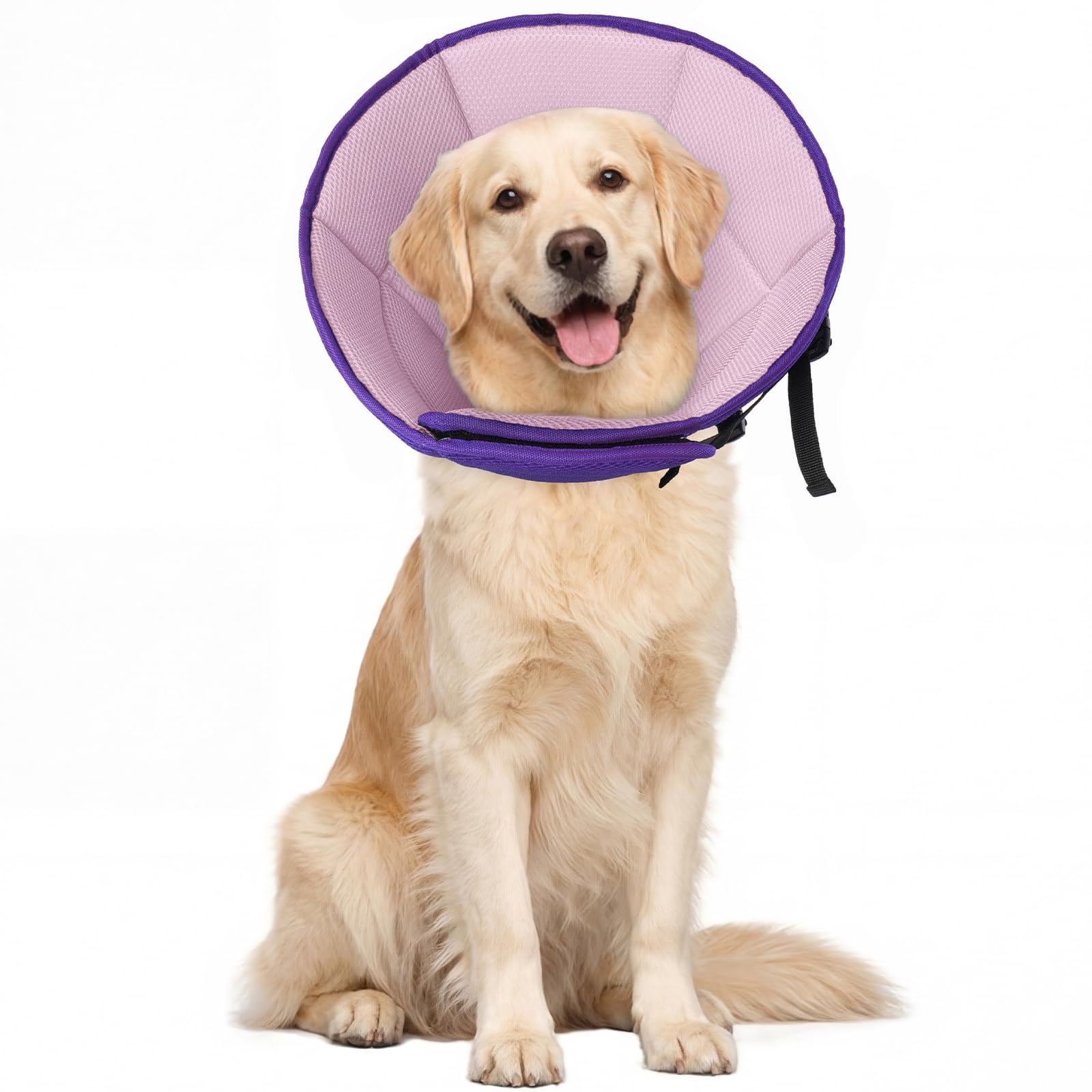 Allroaring Adjustable Dog Cone for Spay, Comfy Recovery Collar Purple L