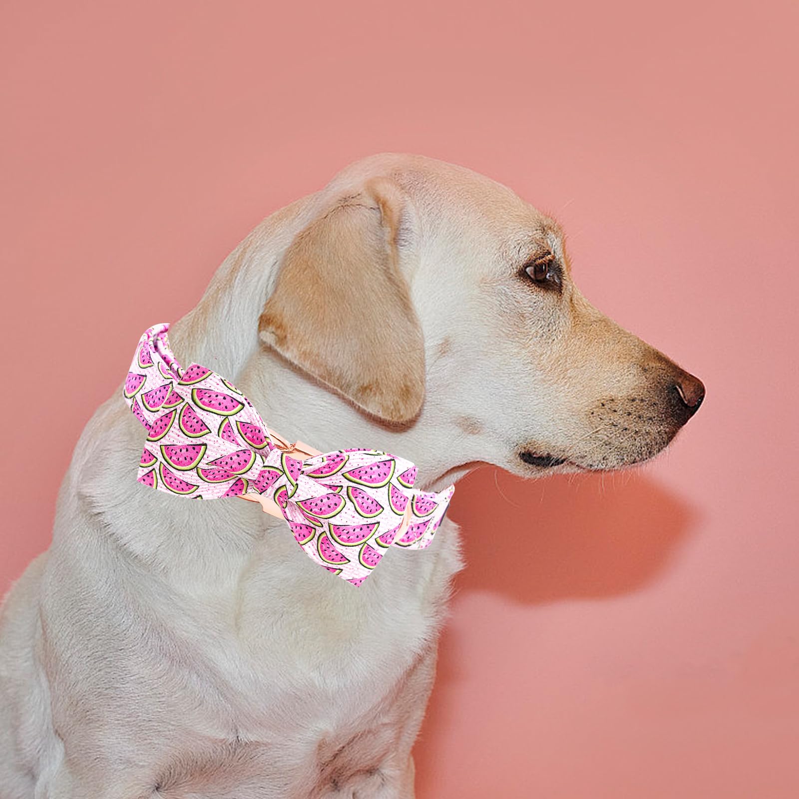 Elegant little tail Dog Collar, Watermelon Print Pet Collar Summer Dog Collar Durable Metal Buckle Dog Collars Cotton Pet Adjustable Dog Collars for X-Large Dogs