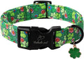 Babole Pet St Patricks Day Dog Collar for Small Dogs - Lucky Flower Shamrock Green Dog Collars, Cute Irish Clover Puppy Collar with Quick Release Buckle for Girls&Boys Dogs S