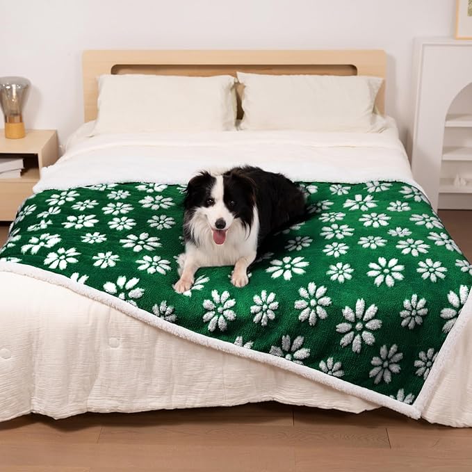 Yaning Cute Waterproof Blanket for Dog Cat or Adult, 50"x60"