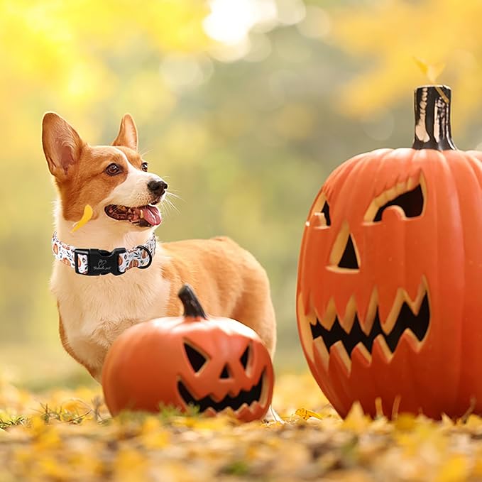 Babole Pet Fall Dog Collar, Cute Orange Pumpkin Pattern Puppy Collar, Soft Comfort Adjustable Holiday Thanksgiving Dog Collars for Small Medium Large Boy&Girl Dogs L