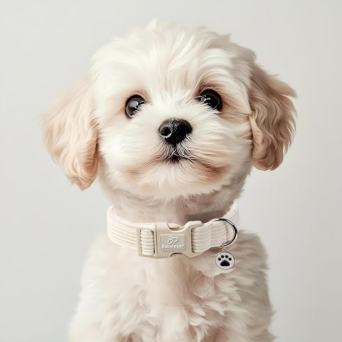 Babole Pet Cute Corduroy Dog Collar - White Adjustable Dog Collars for Medium Dogs 25-50lbs, Fade-Proof with Secure Snap & Little Charm, Christmas Birthday Gift, M
