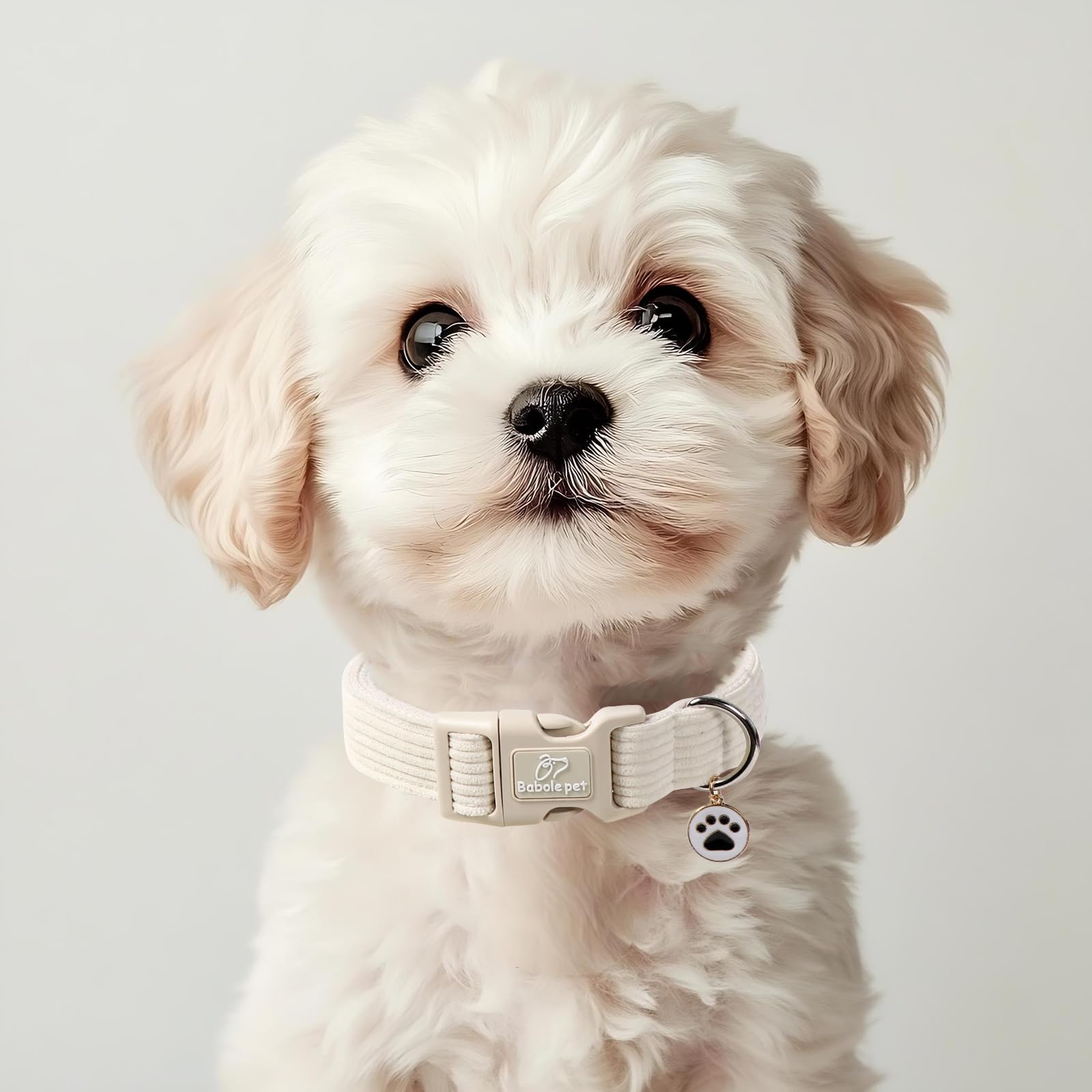 Babole Pet Cute Corduroy Dog Collar - White Adjustable Dog Collars for Small Dogs 10-25lbs, Fade-Proof with Secure Snap & Little Charm, Christmas Birthday Gift, S