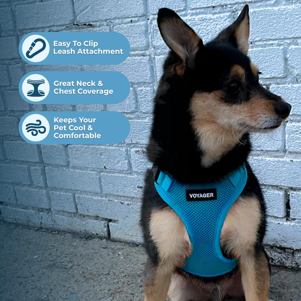 Voyager Step-in Lock Dog Harness - Turquoise, X-Small