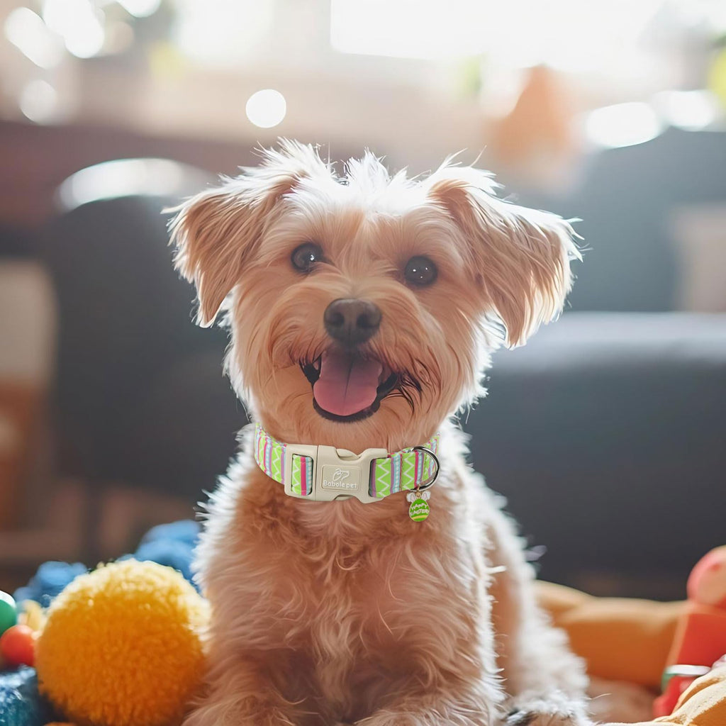 Babole Pet Easter Dog Collar for Large Dogs - Brightly Colored Stripe Easter Collars for Boy Girl Dogs, Adjustable Spring Holiday Pet Collars with Quick Release Buckle L