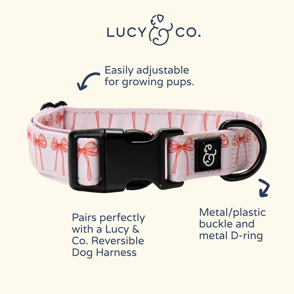 Lucy & Co. Ballet Bows Dog Collar - Durable Lightweight Designer Collar for Pets - Adjustable Metal Safety Buckle - White & Pink Bows - Large