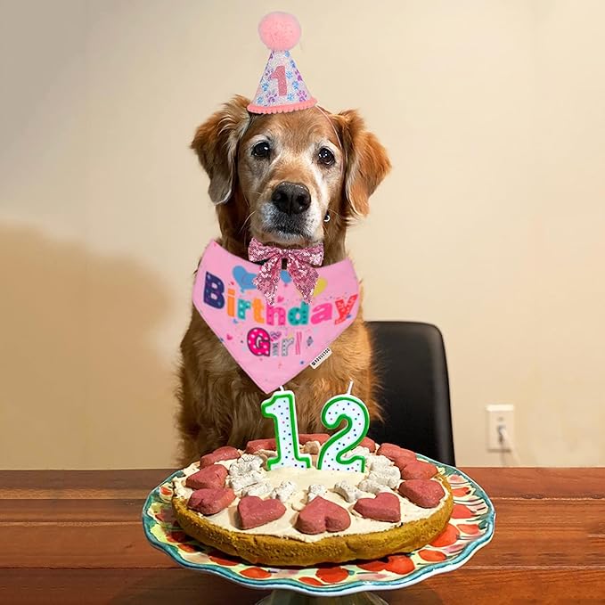 ADOGGYGO Dog Birthday Party Supplies, Pink Girl Dog Birthday Bandana Hat Numbers Bow Set for Medium Large Dogs (Large)
