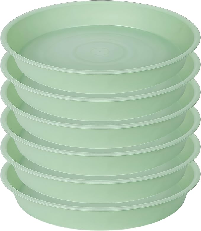 Bleuhome 6 Pack of 6 inch Plant Saucer Drainage Tray, 4 5 7 8 10 12 13 15 17 19 inch Plastic Plant Water Tray, Flower Saucers for Indoors, Plant Dishes for Pots Base (6 inch — 12" (6 pack)