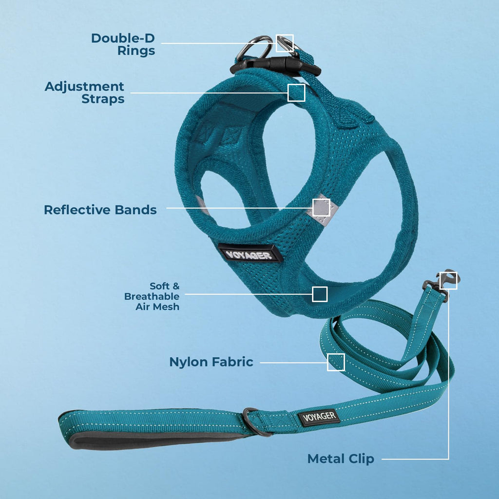 Best Pet Supplies Voyager Step-in Air All Weather Mesh Harness and Reflective Dog 5ft Leash Combo with Neoprene Handle, for Small, Medium and Large Breed Puppies - Turquoise, Large