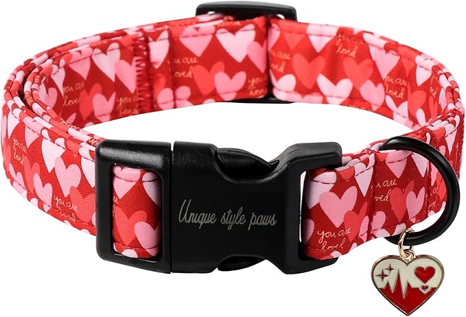 Unique style paws Dog Collar Metal Buckle Collar for Autumn Winter Christmas for Small Medium Large Boys Girls Dogs — S