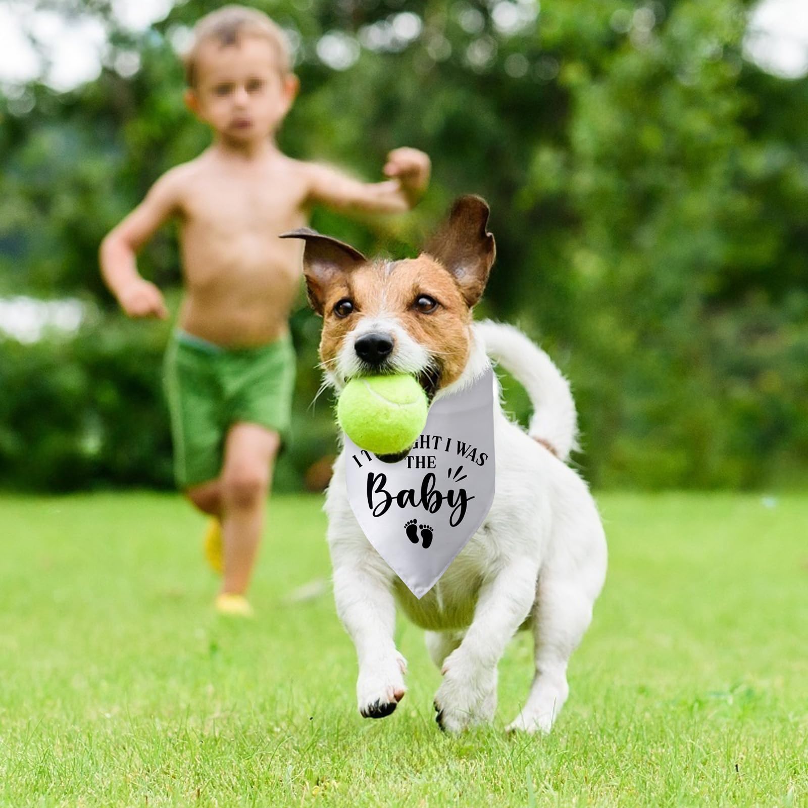 Pregnancy Announcement Dog Bandana I Thought I was The Baby Gender Reveal Dog Baby Coming Soon Announcement Photo Props for Large Medium Small Dogs