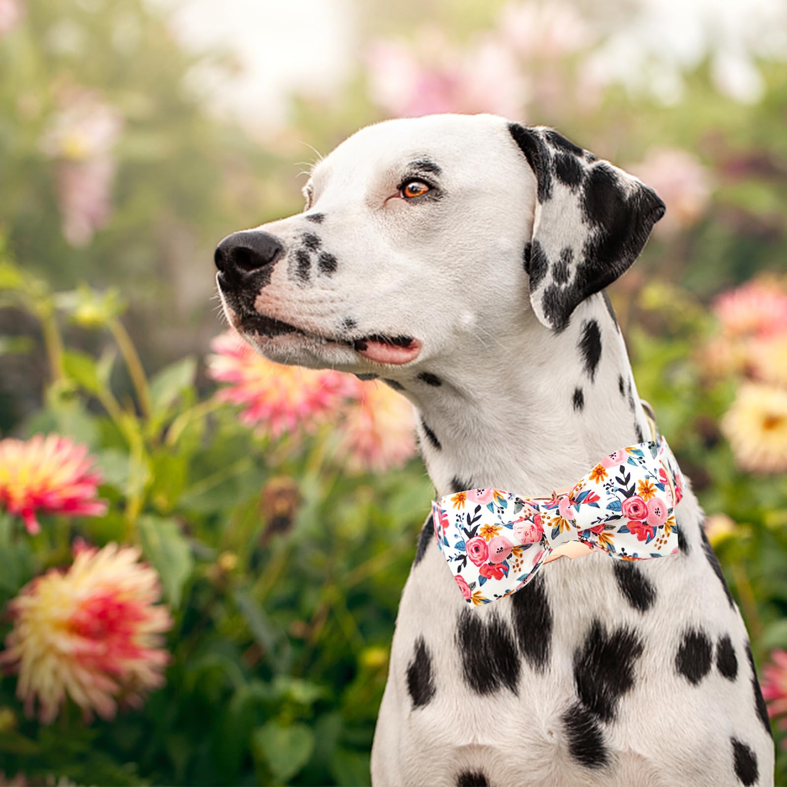 Lionheart glory Dog Collar Bow Collar Floral Dog Collar with Bow Tie Spring Summer Cute Collar Dog Boy or Girl Dog Collars Soft Durable Adjustable Dog Collars for Large Dogs