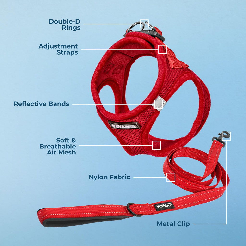 Best Pet Supplies Voyager Step-in Air All Weather Mesh Harness and Reflective Dog 5ft Leash Combo with Neoprene Handle, for Small, Medium and Large Breed Puppies - Red, X-Small