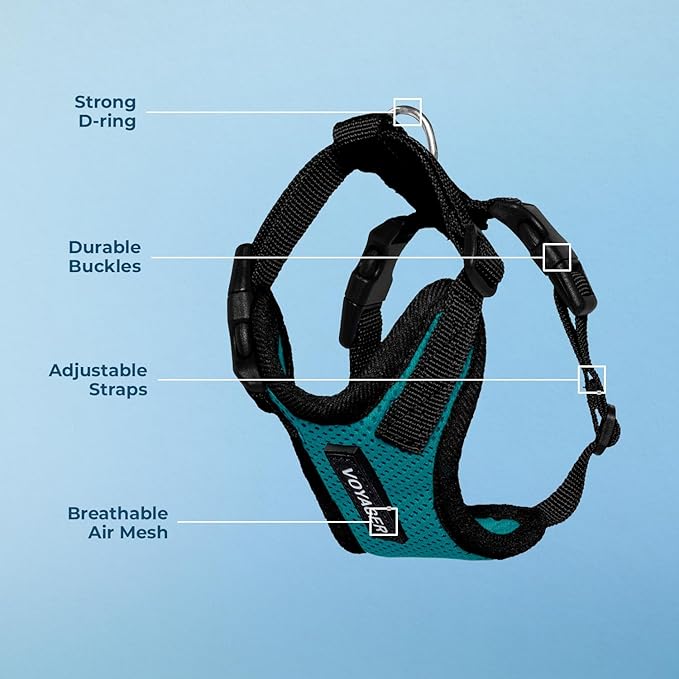 Voyager Step-in Pet Harness - All Weather Mesh, Adjustable Step in Harness for Cats and Dogs by Best Pet Supplies - Turquoise/Black Trim, XL