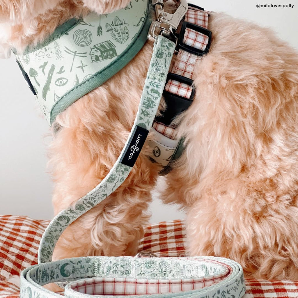 Lucy & Co. Reversible Dog Harness - Water-Repellent Neoprene, Dual-Print Design, Easy Swap Style, Adjustable Comfort Fit - Camp Out Reversible Harness - X-Small
