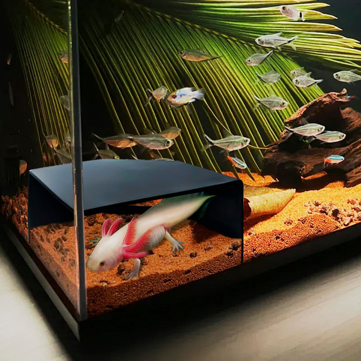 Shrimp Cave for Aquarium Tanks – Durable Fish Tank Decor, Natural Hideout for Ghost Shrimp, Fry, and Nano Fish (Easy to Clean)