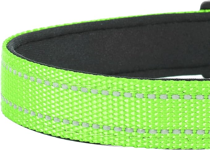 PWOD Reflective Dog Collar, Adjustable Soft Neoprene Padded Nylon Pet Collars with Buckle for Puppy and Small Dogs, Cats, Green,XS