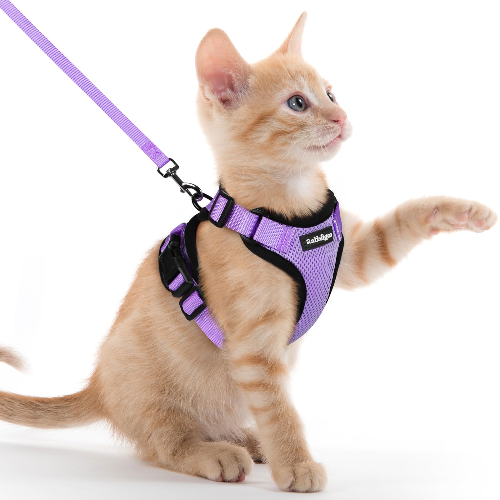 rabbitgoo Cat Harness and Leash Set, Escape Proof Vest, Emerald