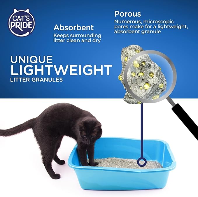 Cat's Pride Easy Scoop Flushable Lightweight Scented Clumping Litter 10lb