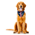 Littlearth NFL New England Patriots Pet Bandana, Team Color, Large