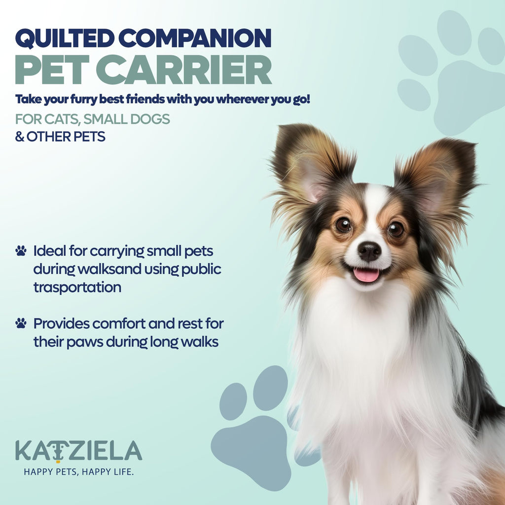 Deluxe Quilted Airline Approved Pet Dog & Cat Carrier for Airplane Travel - by Katziela (Large, Gray)