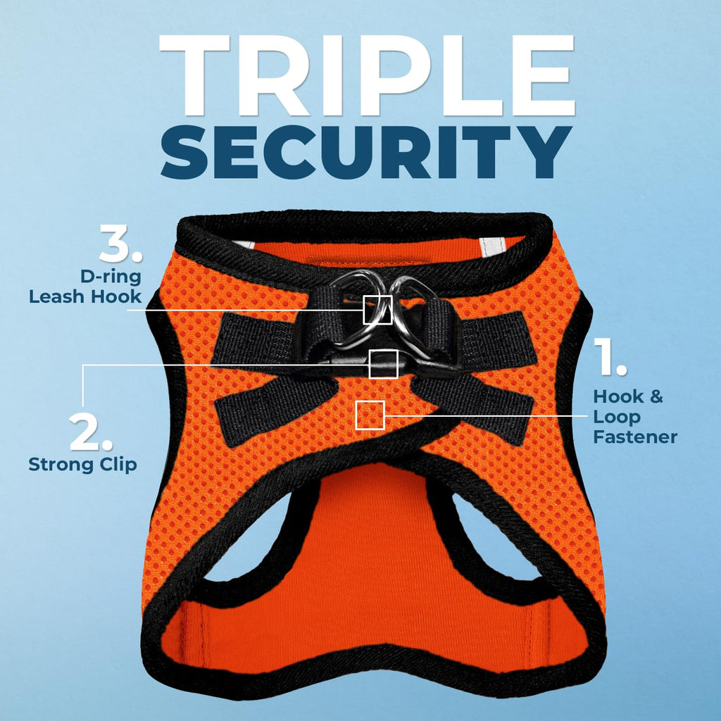 Best Pet Supplies Voyager Step-in Air All Weather Mesh Harness and Reflective Dog 5ft Leash Combo with Neoprene Handle, for Small, Medium and Large Breed Puppies - Orange/Black Trim, XX-Small