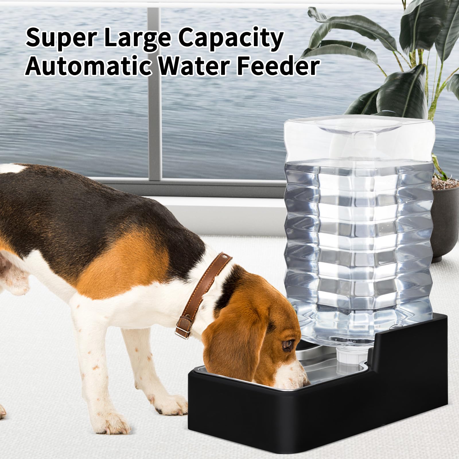 RIZZARI 10L Automatic Dog Water Dispenser for Dog: No Filter