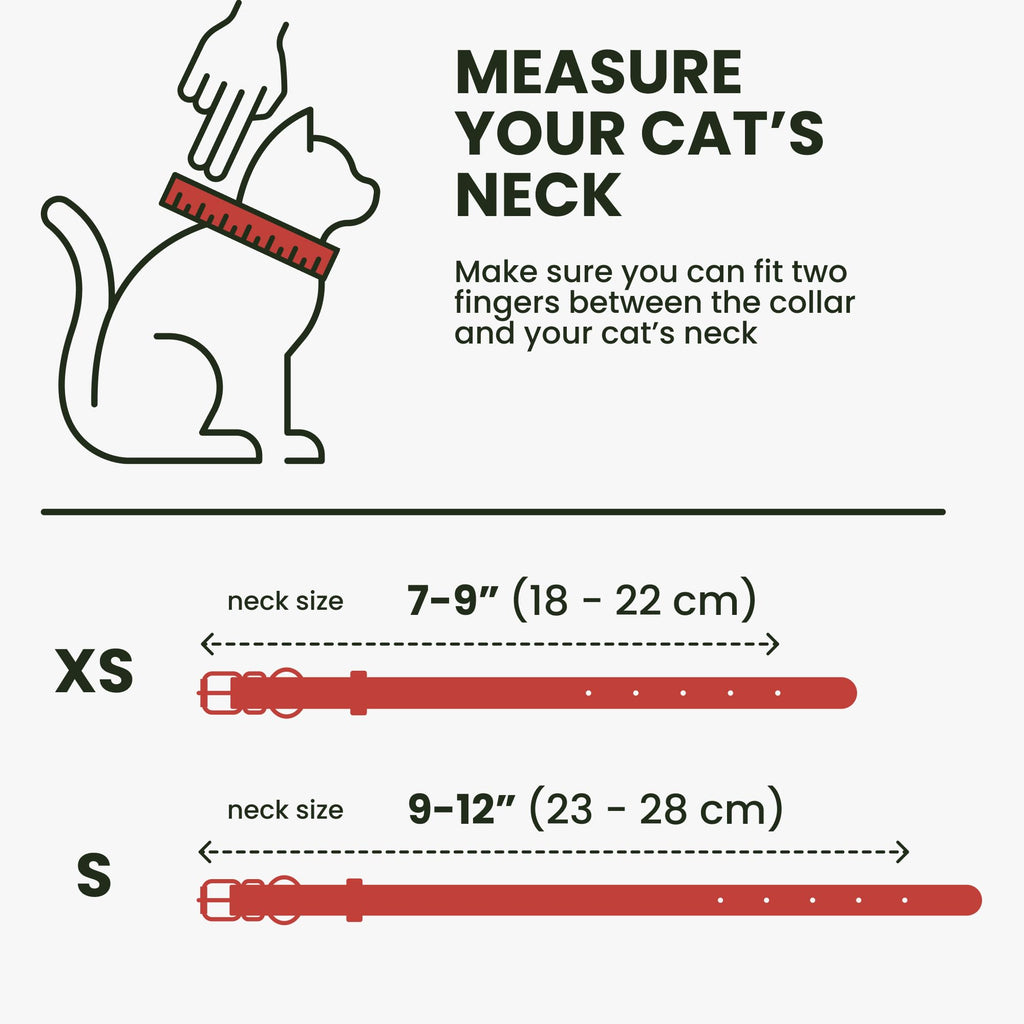 BRONZEDOG Leather Cat Collar with Removable Bells Non Breakaway Kitten QR Tag for Girl Boy (9" - 12" Cats/Mini Dogs, Red & Silver)