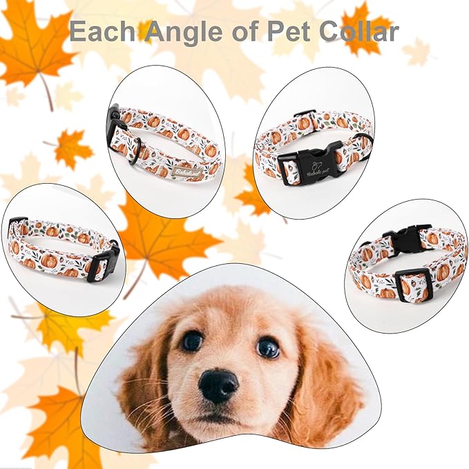Babole Pet Fall Dog Collar, Cute Orange Pumpkin Pattern Puppy Collar, Soft Comfort Adjustable Holiday Thanksgiving Dog Collars for Small Medium Large Boy&Girl Dogs L
