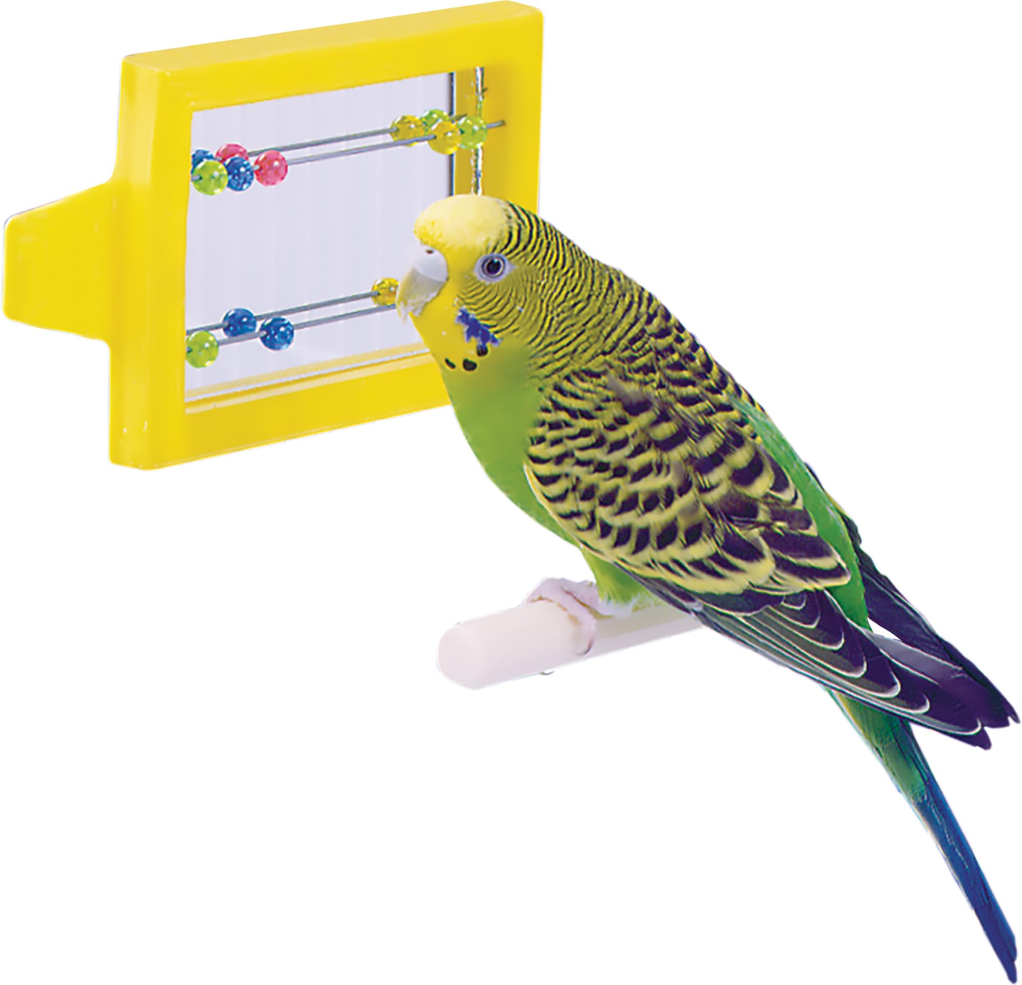 Penn-Plax Bird Life - Mirror with Beads Toy | Easy to Attach to Any Bird Cage | Keep Your Birds Entertained and Stimulated (BA507)