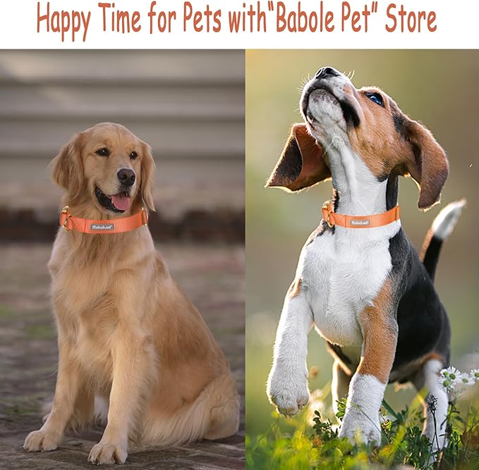 Babole Pet Nylon Dog Collar - Adjustable Orange Soft Webbing Dog Collars for Small Medium Large Dogs Boy Girl Puppy Collar with Safety Metal Buckle L