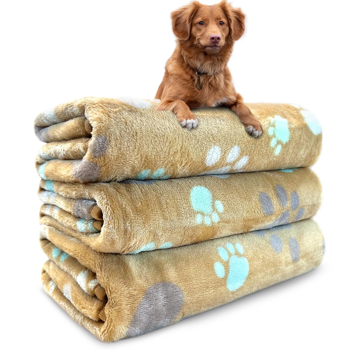 Dog Blankets for Large Dogs, 3 Pcs Dog Blanket Washable, Soft Fluffy Flannel Pet Blanket Mat Cover for Bed Couch, Cute Print Puppy Blanket 60" x 50"