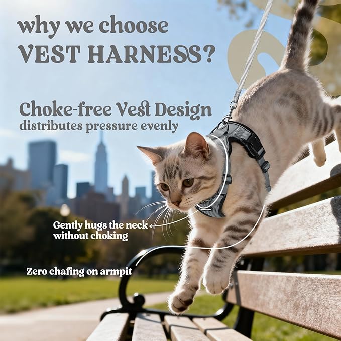 rabbitgoo Cat Harness and Leash for Walking, Escape Proof Soft Adjustable Vest Harnesses for Cats, Easy Control Breathable Reflective Strips Jacket, Grey, M