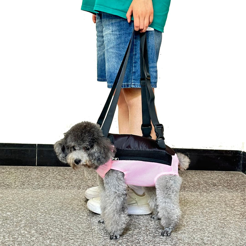 QQLe Dog Carrier Backpack, Breathable Mesh Chest Carrier for Small Dogs