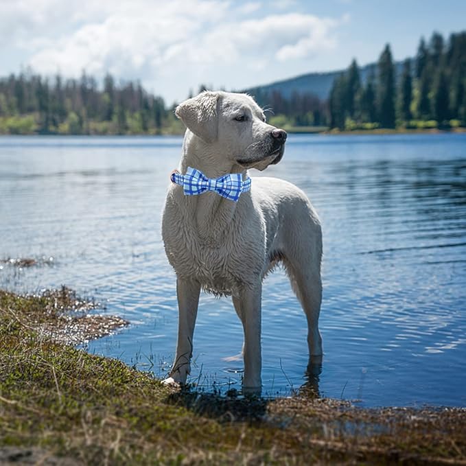 Elegant little tail Dog Collar with Bow - Blue Plaid Boy Dog Collar Cute Bowtie Pet Collar Adjustable Dog Collar for Medium Dog