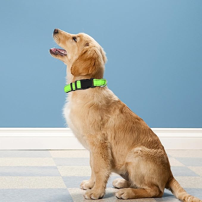 PWOD Reflective Dog Collar, Adjustable Soft Neoprene Padded Nylon Pet Collars with Buckle for Puppy and Small Dogs, Cats, Green,XS