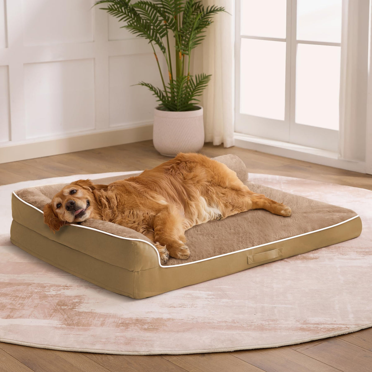 Aeroluxe XXL Orthopedic Dog Bed, Extra Large Dogs, 48"x35"x7.5", Beige