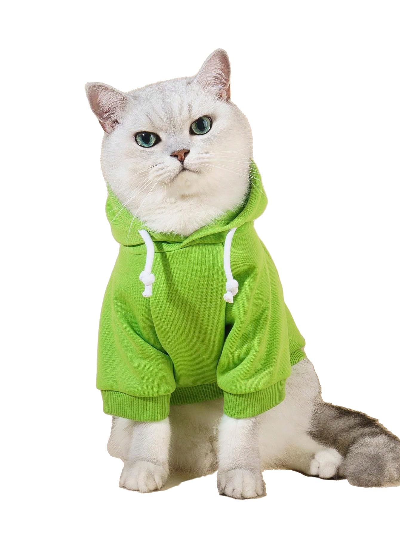 QWINEE Basic Dog Hoodie Sweatshirt Puppy Sweater Warm Cat Costumes Pet Clothes for Chihuahua Puppy Kitten Small Medium Dogs Green Large