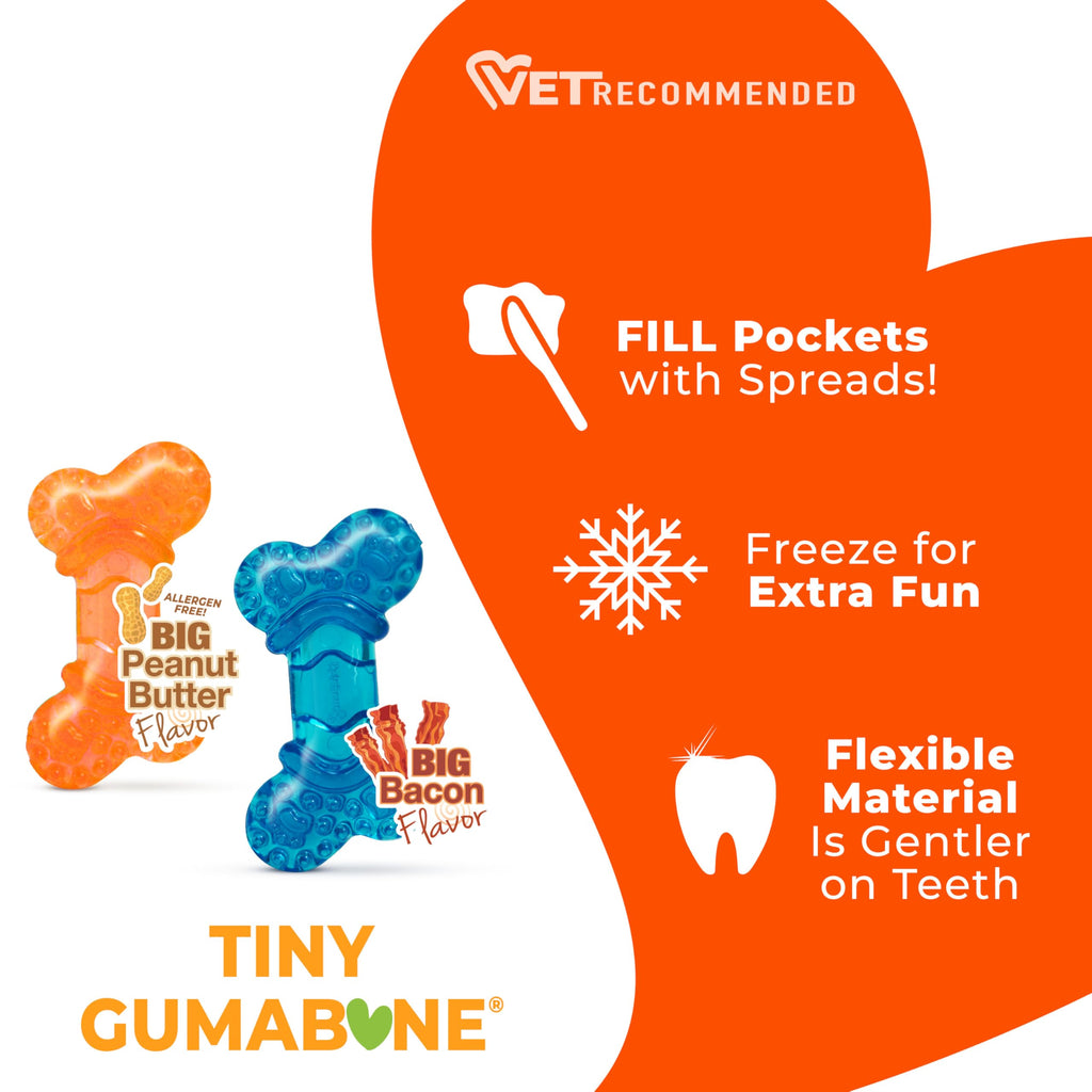 Nylabone Flexi Chew Tiny Gumabone Dog Chew Toys, XX-Small, 2 Count