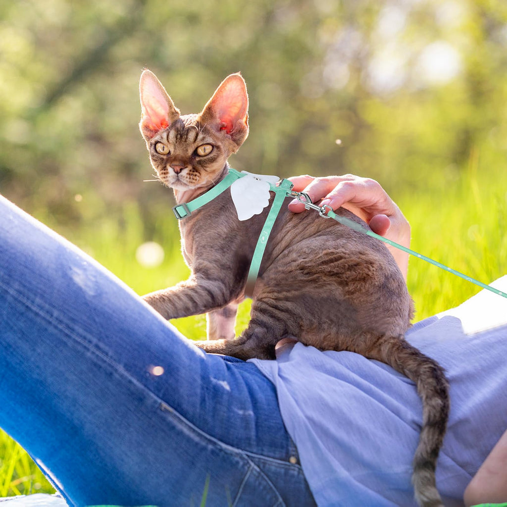 TIESOME Cat Harness and Leash Set, Adjustable Gradient Kitten Harness