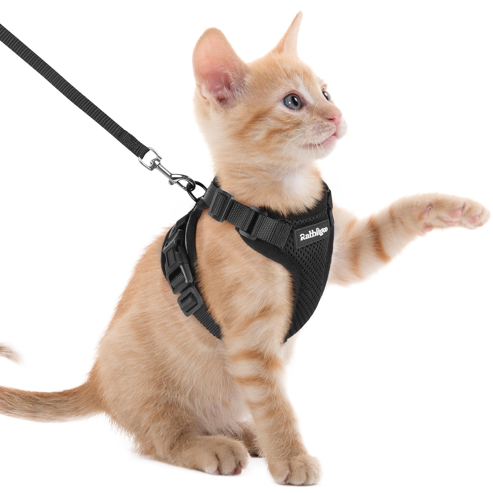 rabbitgoo Cat Harness and Leash Set, Escape Proof Vest, Emerald