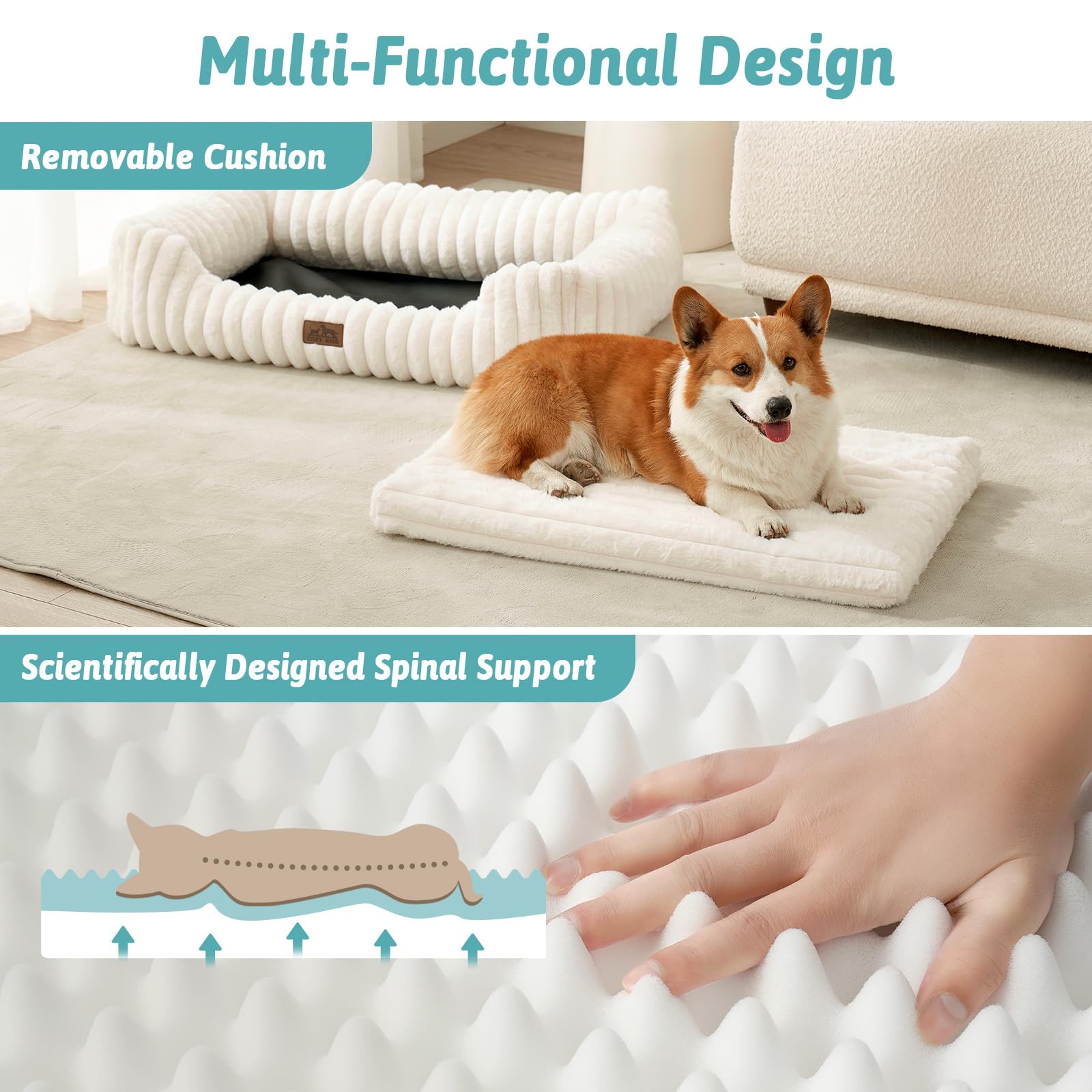 Orthopedic Dog Bed for Medium Dogs & Large Dogs - Washable Rectangle Pet Bed with Anti-Slip Bottom, Soft Calming Cat & Puppy Bed for Indoor Pets (35"x25"x8", Cream)