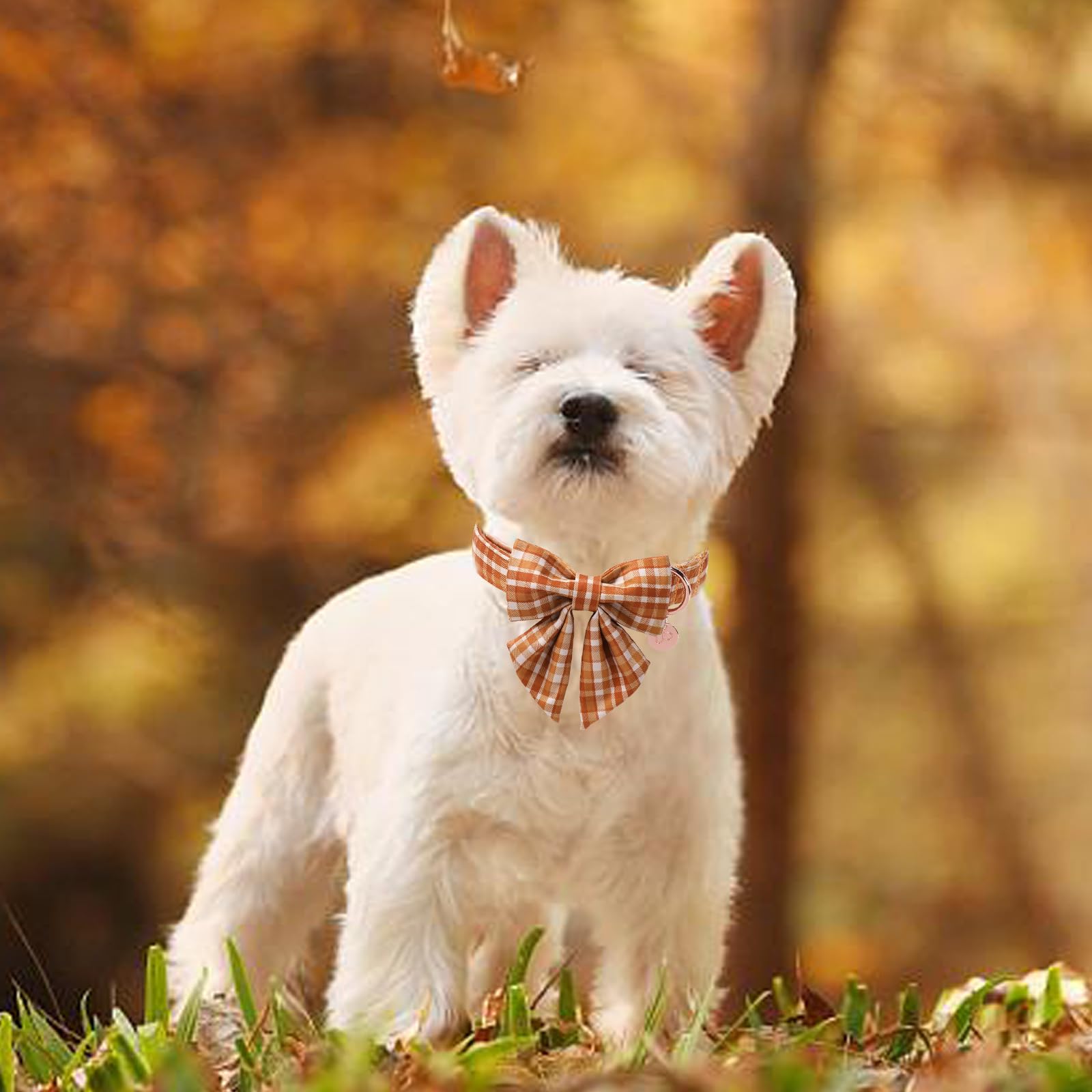 UP URARA PUP Fall Plaid Dog Collar and Bow Tie Set – Brown Orange Checkered Adjustable Collar with Maple Leaf Charm for Small Medium Large Dogs, Soft Cotton Puppy Collar with Quick Release Buckle