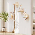 Cat Wall Shelves with 2 x 60 Inch Climbing Rope, Wall Mounted Cat Tree