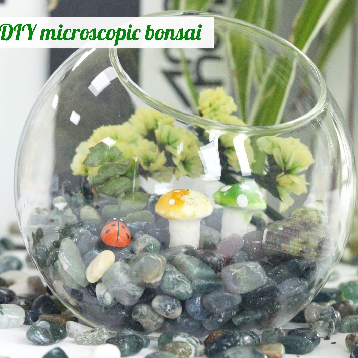 1lb Aquatic Agate Aquarium Gravel Rocks Natural Tumbled Healing Crystal Chips Bulk Gemstones Crushed Stones for Fountain Vase Filler Planters Decorative Fish Tank Potted Reiki Energy Balancing