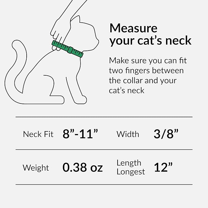 CollarDirect Leather Cat Collar, Cat Safety Collar with Elastic Strap, Kitten Collar with Bell Black Blue Red Orange Lime Green (8-11 Inch, Yellow)