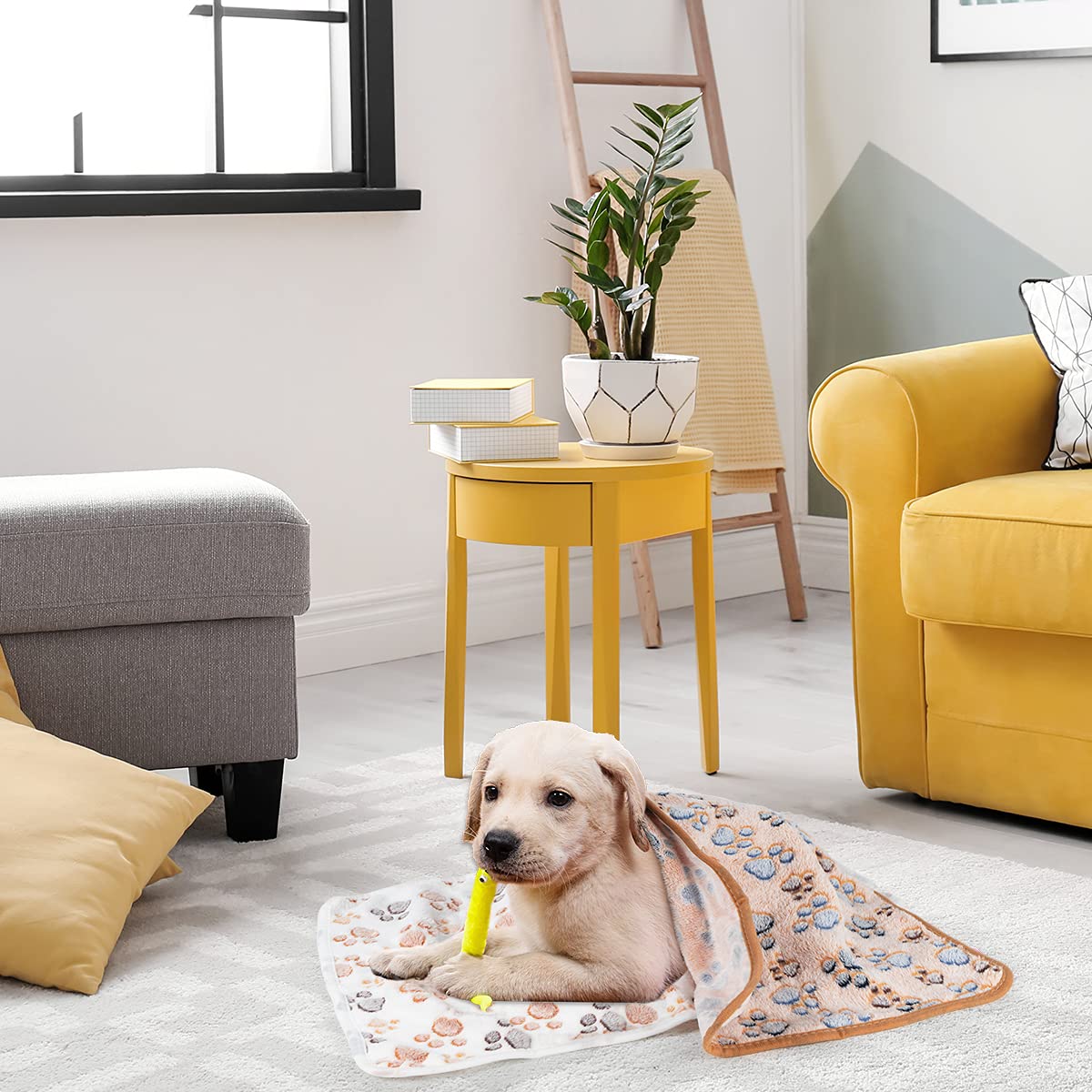 Dono 1 Pack 3 Dog Blankets for Small Dogs, Soft Fluffy Paw Print Pattern Fleece Pet Blanket Warm Sleep Mat, Puppy Kitten Blanket Doggy Mat for Dog Cat Kitten Doggy