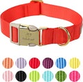 Nylon Dog Collar - Adjustable Red Soft Webbing Dog Collars for Small Medium Large Dogs Boy Girl Puppy Collar with Safety Metal Buckle M